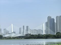 -古琴台