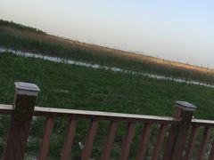 -白洋淀景区