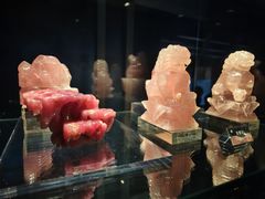 -中国地质博物馆