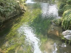 -趵突泉景区