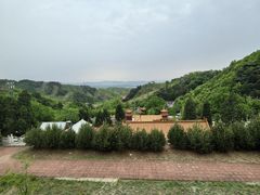 -遵化市禅林寺古银杏风景园