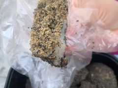 -叶氏麻糍(鼓浪屿店)