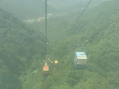 -王顺山国家森林公园