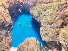 -福州罗源湾海洋世界旅游区