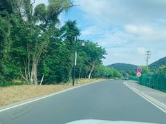 -树山生态村