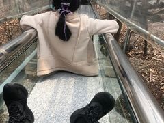 -皇藏峪国家森林公园