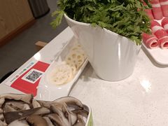 -九府羊鲜羊火锅·烧烤·小海鲜(华汇大厦店)