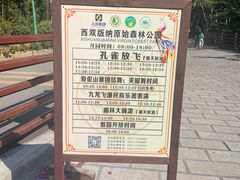 -西双版纳原始森林公园