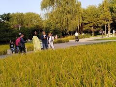 -北坞公园