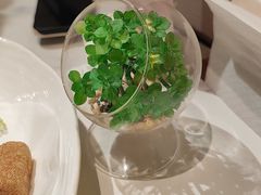 -码头见·潮汕菜(领展中心城店)