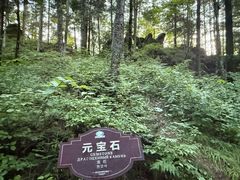 -汤旺河林海奇石景区
