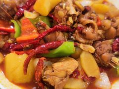 新疆大盘鸡(小份)-新疆红柳花餐厅(新洲店)