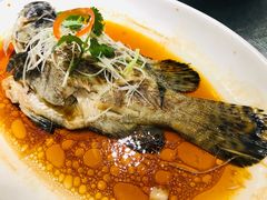 -侬佳蒸菜馆(听潮店)