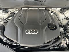 -XPEL旗舰店·汽车贴膜·隐形车衣·改色贴膜