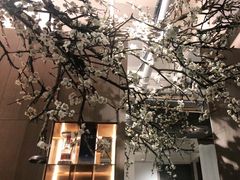 -梅花境(万科店)