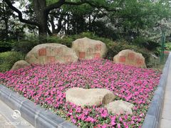 -御花园·粤菜·海鲜火锅(中山公园店)