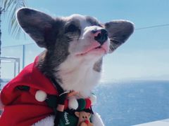 -又见止间·日落海景餐厅(六月海店)