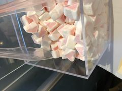 -狐狸和向日葵(北京路店)