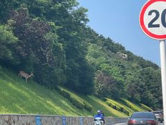 -大连森林动物园