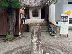 -奈良公园
