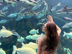 -波塞冬旅游度假区