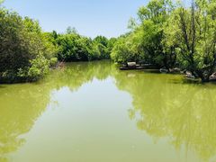 -上海吴淞炮台湾国家湿地公园