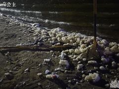 -碧海金沙