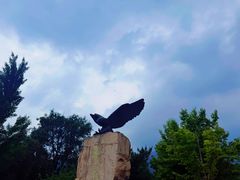 -北京鹫峰国家森林公园