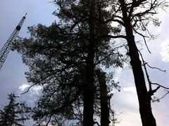 -冕宁灵山寺