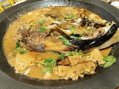 -金掌勺·锅包肉(广渠门店)