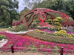 -上海共青森林公园