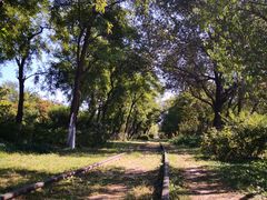 -永定河休闲森林公园