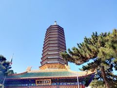 -八大处公园