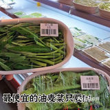 不愧是大学城‼️人均40r的市集火锅吃爽了