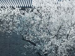 -雍和宫(地铁站)