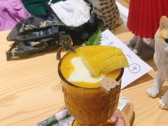 -猫色咖啡·猫咖