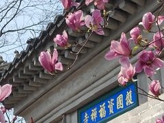 -红螺寺
