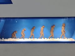 -龙塔