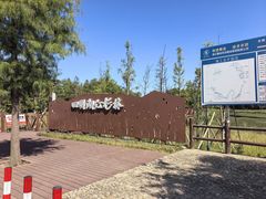 -四明湖