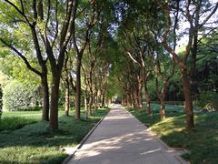 -宋庆龄陵园