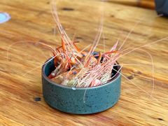 花雕熟醉沼虾-百家鲜·杭帮菜