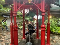 -三鹰之森吉卜力美术馆