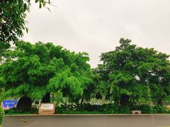 -南宁南湖公园