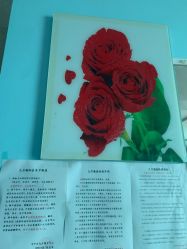 -九月瑜伽·普拉提