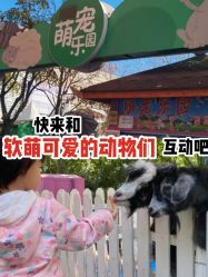 -萌宠亲子动物乐园(槐房万达店)