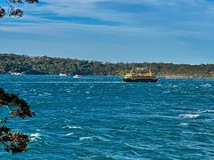 -麦考利夫人座椅