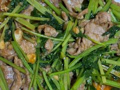 -呼吸森林·生态农庄农家乐私房菜