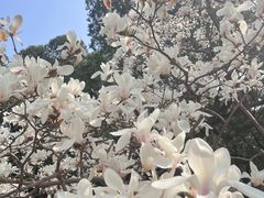 -北京市劳动人民文化宫(太庙)