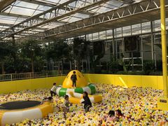 -南宫五洲植物乐园