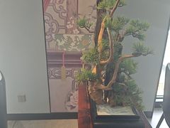-顺峰(农展馆店)